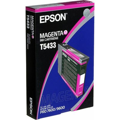 Cartuccia Epson T5433 (C13T543300) - Magenta