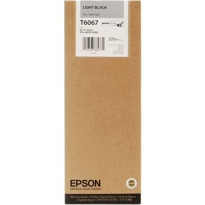 Cartuccia stampante Epson C13T606740 - Nero chiaro