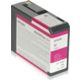 Cartuccia stampante Epson T580 (C13T580300) - Magenta