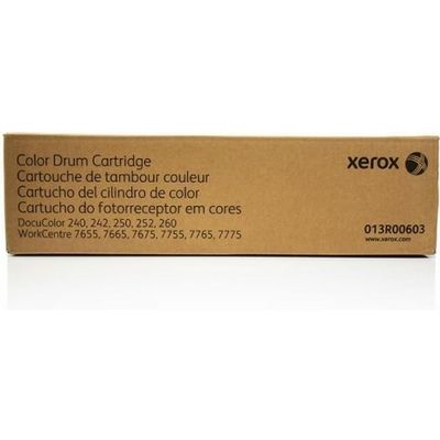 Tamburo Xerox 013R00603