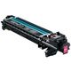 Tamburo Konica Minolta A0WG0EJ - Magenta