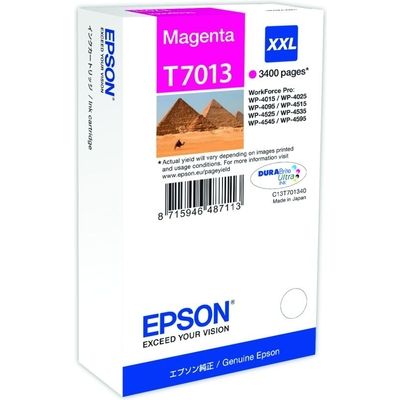Cartuccia Epson T7013 (C13T70134010) - Magenta
