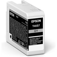 Cartuccia stampante Epson T46S7 - Grigio