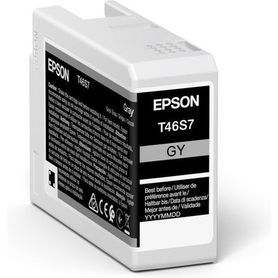 Cartuccia stampante Epson T46S7 - Grigio
