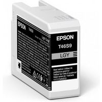 Cartuccia stampante Epson T46S9 - Grigio chiaro