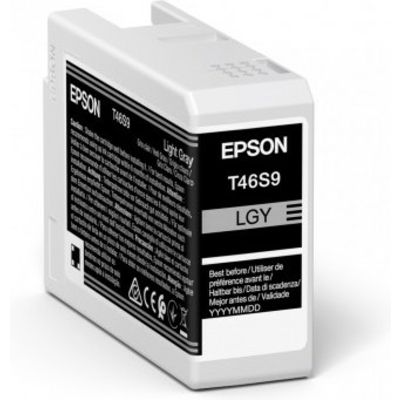 Cartuccia stampante Epson T46S9 - Grigio chiaro
