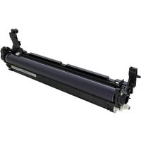 Tamburo Ricoh D2442229