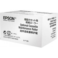 Kit di manutenzione Epson S210049