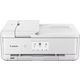 Canon PIXMA TS9551C Stampante inkjet