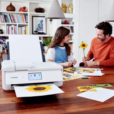 Canon PIXMA TS9551C Stampante inkjet