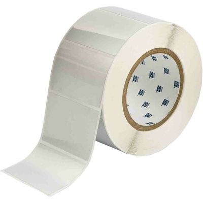 Brady THT-19-434-1 Etichetta poliestere lucido metallizzato (76,2 x 50,8 mm)