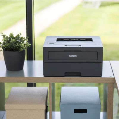 Brother HL-L2445DW Stampante laser