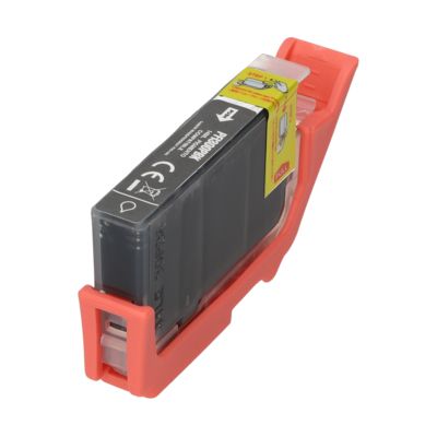 Cartuccia compatibile Canon PFI-300PBK - Nero fotografico