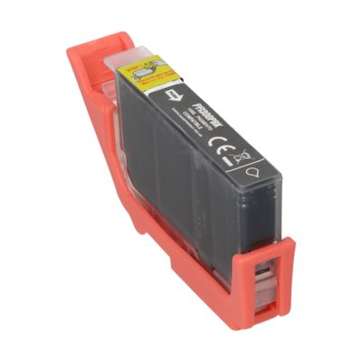 Cartuccia compatibile Canon PFI-300PBK - Nero fotografico