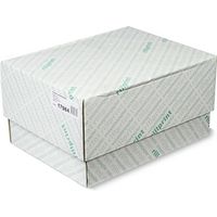 Carta a catena Rillstab 17984 1-fold 380 mm x 11 pollici bianco 60 g/m² (2.000 fogli)
