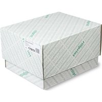 Carta a catena Rillstab 17979 1-fold 240 mm x 11 pollici 60 g/m² Bianco (2.000 fogli)