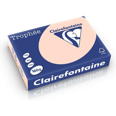 Carta Colorata Clairefontaine Salmon A4 160 g/m² (250 fogli)