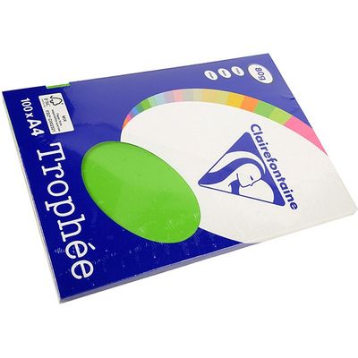 Carta Colorata Clairefontaine Verde erba A4 80 g/m² (100 fogli)