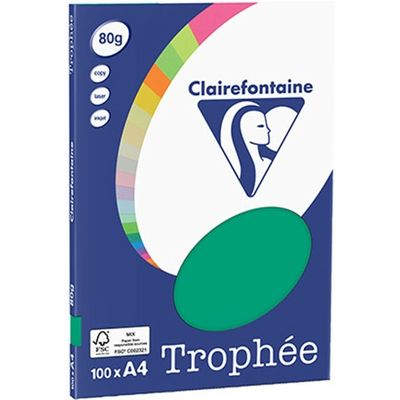 Carta Colorata Clairefontaine Verde pino A4 80 g/m² (100 fogli)