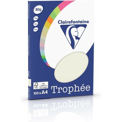 Carta Colorata Clairefontaine Grigio perla A4 80 g/m² (100 fogli)