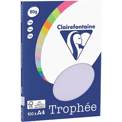 Carta Colorata Clairefontaine Lilac A4 80 g/m² (100 fogli)
