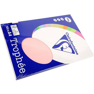 Carta Colorata Clairefontaine Rosa A4 80 g/m² (100 fogli)