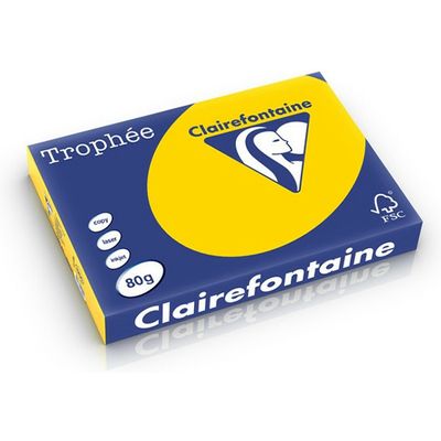 Carta Colorata Clairefontaine Oro giallo A4 80 g/m² (500 fogli)