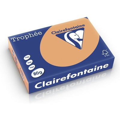 Carta Colorata Clairefontaine Caramel A4 80 g/m² (500 fogli)