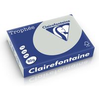 Carta Colorata Clairefontaine Grigio chiaro A4 80 g/m² (500 fogli)