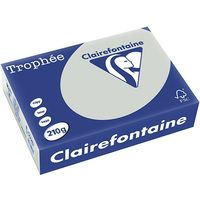 Carta Colorata Clairefontaine Grigio chiaro A4 210 g/m² (250 fogli)