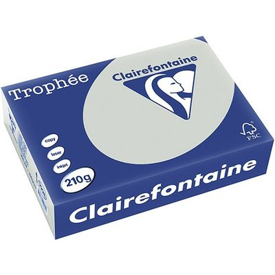 Carta Colorata Clairefontaine Grigio chiaro A4 210 g/m² (250 fogli)