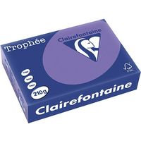 Carta Colorata Clairefontaine Violet A4 210 g/m² (250 fogli)