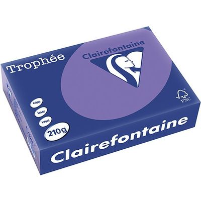 Carta Colorata Clairefontaine Violet A4 210 g/m² (250 fogli)