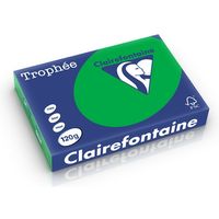 Carta Colorata Clairefontaine Verde biliardo A4 120 g/m² (250 fogli)