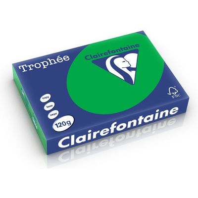 Carta Colorata Clairefontaine Verde biliardo A4 120 g/m² (250 fogli)