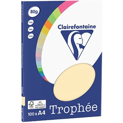 Carta Colorata Clairefontaine Avorio A4 80 g/m² (100 fogli)