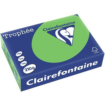 Clairefontaine Verde erba A4 Carta colorata 210 gsm (250 fogli)