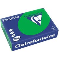 Carta Colorata Clairefontaine Verde Biliardo A4 210 g/m² (250 fogli)