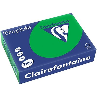 Carta Colorata Clairefontaine Verde Biliardo A4 210 g/m² (250 fogli)