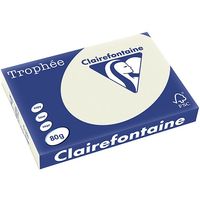 Carta Colorata Clairefontaine Grigio perla A3 80 g/m² (500 fogli)