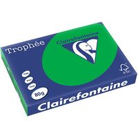 Carta Colorata Clairefontaine Billiard Green A3 80 g/m² (500 fogli)