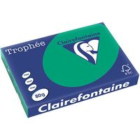 Carta Colorata Clairefontaine Verde pino A3 80 g/m² (500 fogli)