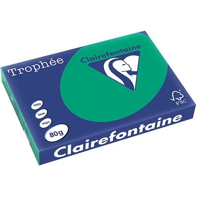 Carta Colorata Clairefontaine Verde pino A3 80 g/m² (500 fogli)
