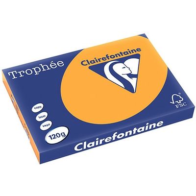 Carta Colorata Clairefontaine Arancione A3 120 g/m² (250 fogli)