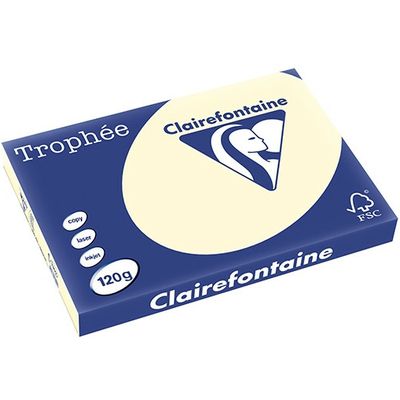 Carta Colorata Clairefontaine Avorio A3 120 g/m² (250 fogli)