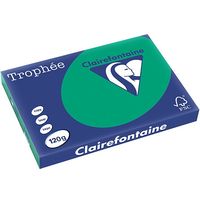 Carta Colorata Clairefontaine Verde pino A3 120 g/m² (250 fogli)