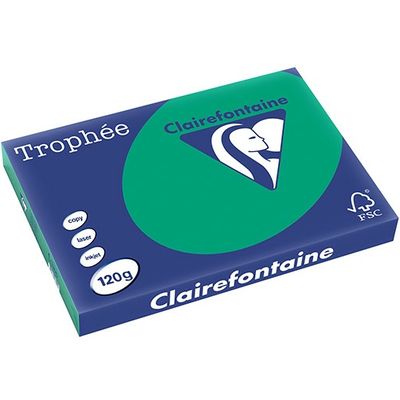 Carta Colorata Clairefontaine Verde pino A3 120 g/m² (250 fogli)