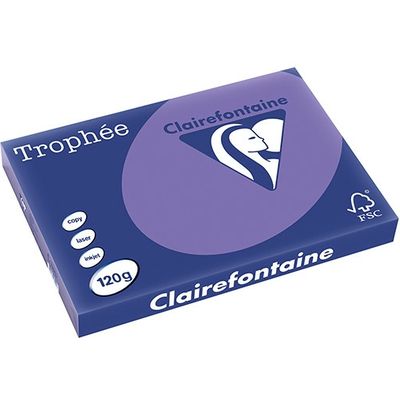 Carta Colorata Clairefontaine Violet A3 120 g/m² (250 fogli)