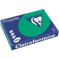 Carta Colorata Clairefontaine Verde pino A4 120 g/m² (250 fogli)