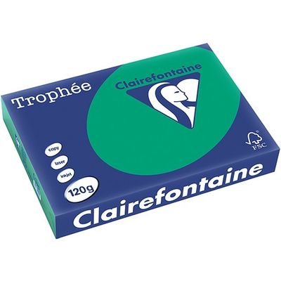 Carta Colorata Clairefontaine Verde pino A4 120 g/m² (250 fogli)